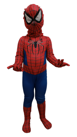 Spiderman mini